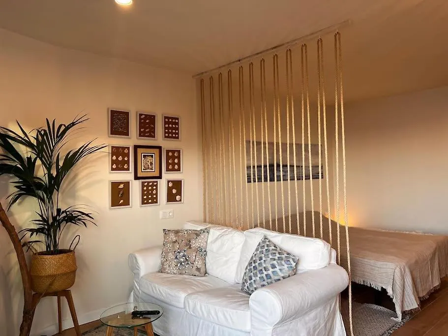 Ocean Dream Apartments - Lovely Sea View Studio Apartment 5Min From Beach San Marcos